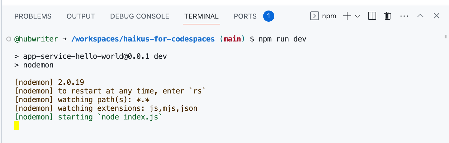 该屏幕截图显示了 VS Code 中的终端,其中输入了“npm run dev”命令。